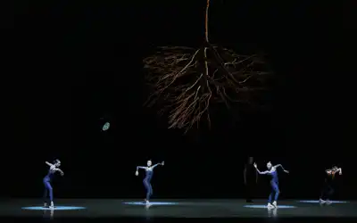 Recensie Kylian past Het Nationale Ballet als een handschoen in Dancing Dutch