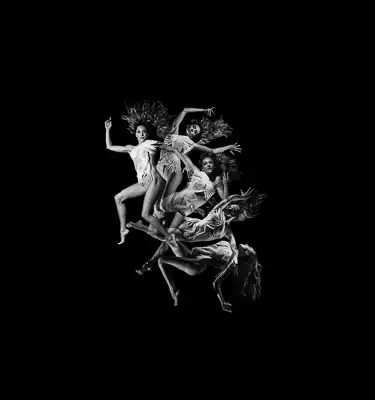 https://www.scapinoballet.nl/nl/voorstellingen/anima-obscura